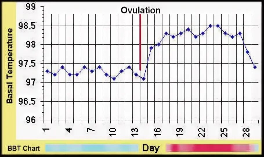 График базальной температуры. Отсутствие овуляции. Basal body temperature. Диагностика ановуляции. Отсутствует овуляция