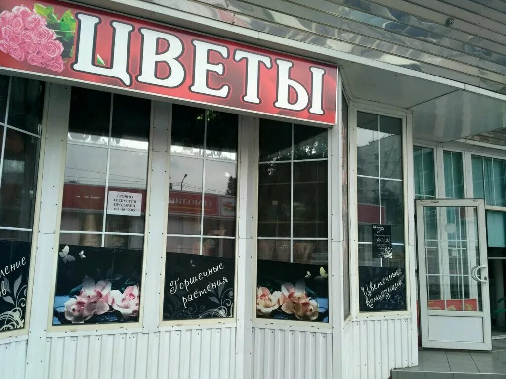 Большая садовая ул 100. Большая садовая ул 100. Большая садовая ул 100. Садовая атташе ростов-на-дону гостиница. Ростов на дону пр ворошиловский ул большая садовая.
