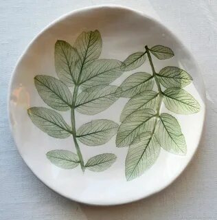 Pressed leaves