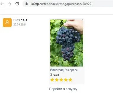 Виноград 42