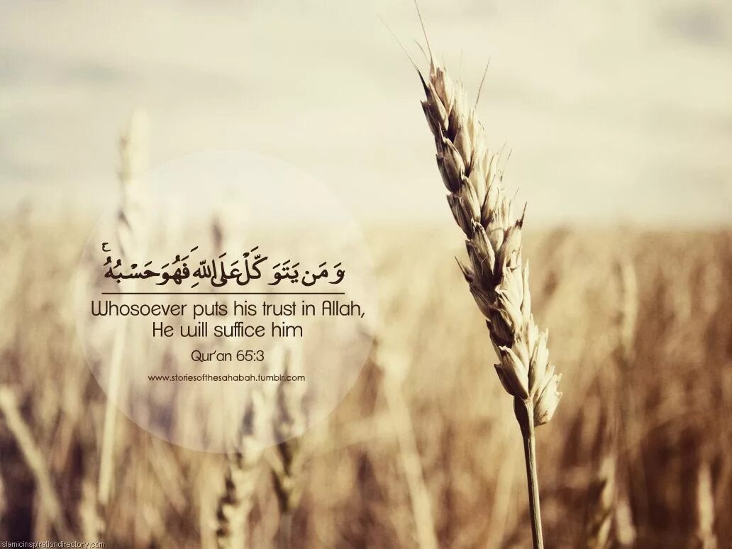 I hope he will. Islamic quotes. Allah quotes. Trust Allah.