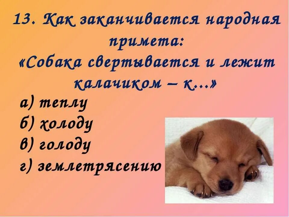 К чему приближается собака