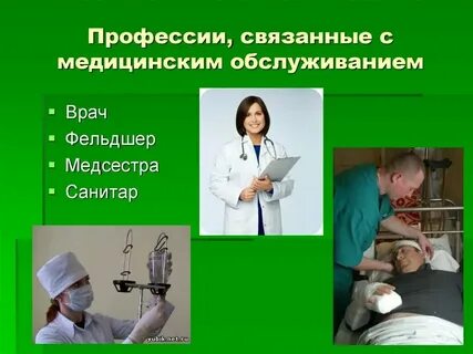 Пасти профессия