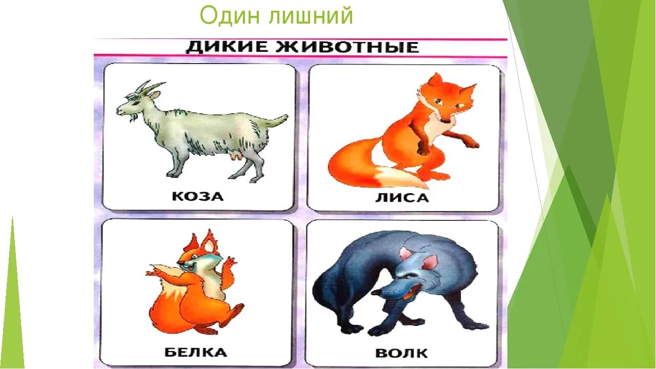 Карточки с дикими животными. Дикие животные карточки для детей. Волк лиса и заяц. Медведь волк белка. Игра медведь лиса