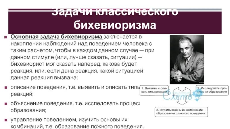 Исследования бихевиористов