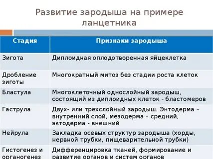 Признаки зародышей