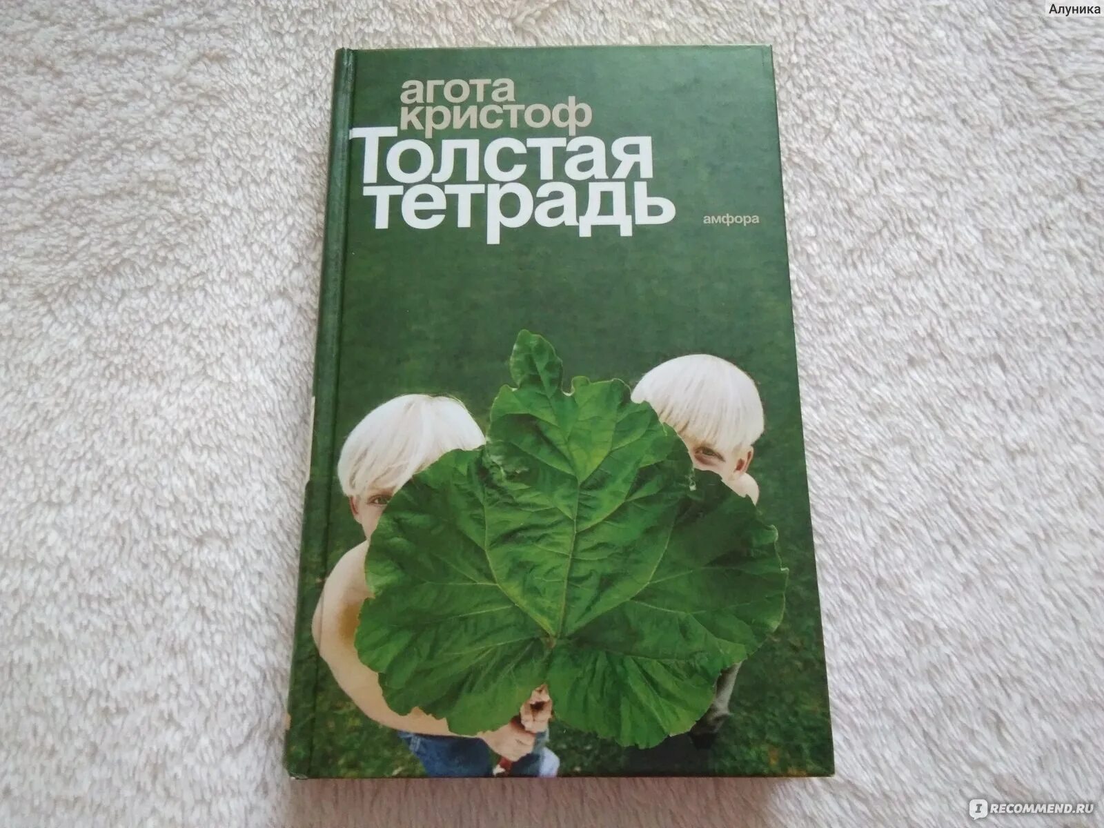 Толстая тетрадь агота. Агота Кристоф толстая тетрадь. Толстая тетрадь Агота Кристоф книга. Кристоф а. "толстая тетрадь".