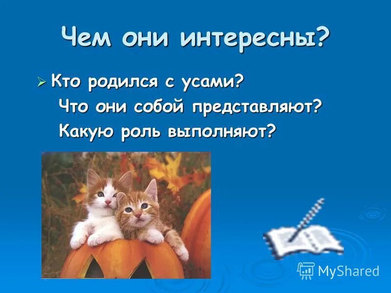 Кто рождается с усами. Смешной малыш с усами. Младенец с усами. Какой малыш рождается с усами. Бородатый мальчик.