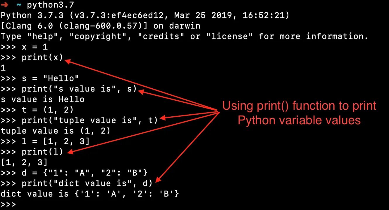 Python c get. Пайтон Print. End в питоне. Value в питоне. Pprint Python.