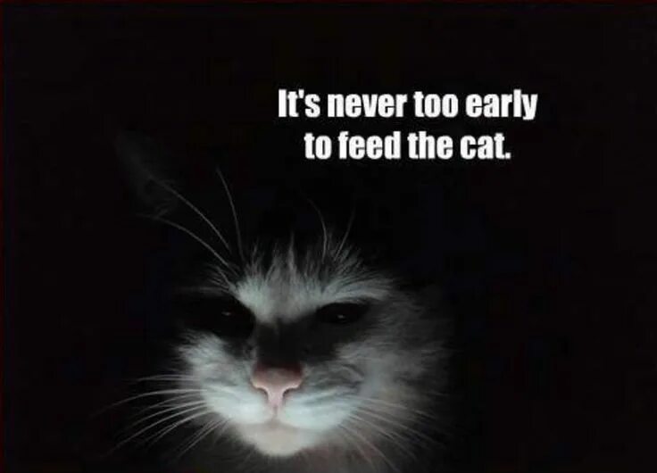 You too early