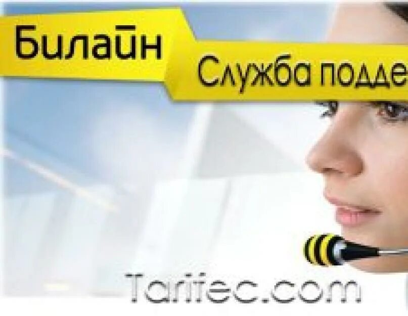 Номер бесплатной службы билайн. Билайн поддержка. Служба поддержки Билайн. Билайн номер оператора службы поддержки. Билайн поддержки Билайн служба.