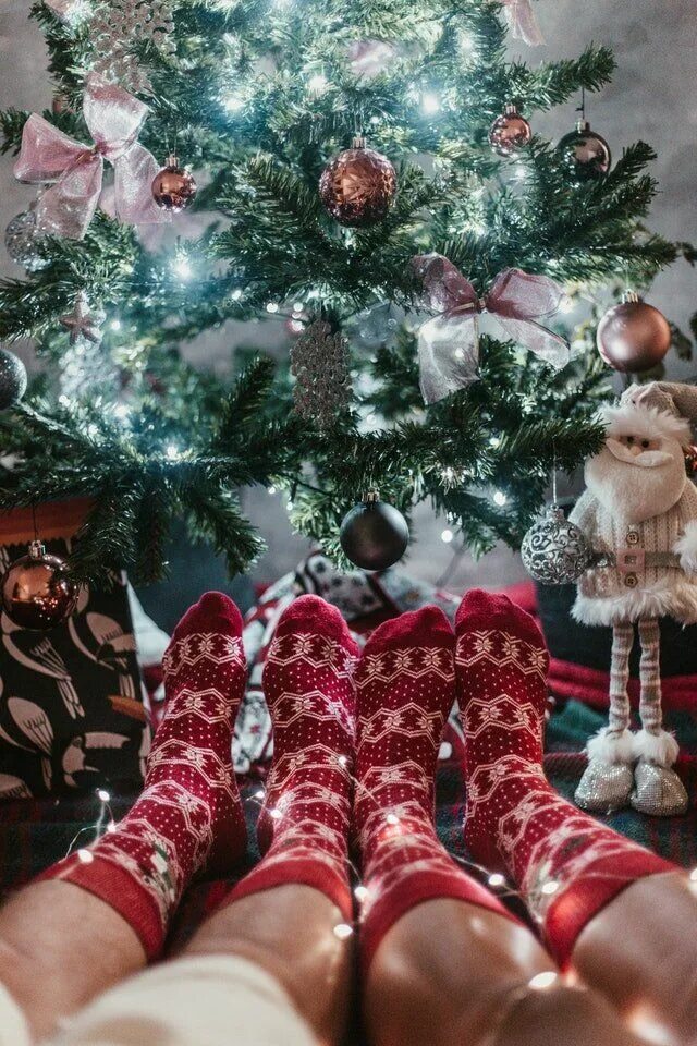InstaDP Viewer - Instagram Profile Picture - Photo Downloader Christmas baby pic