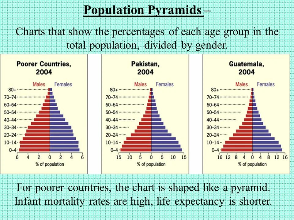 Population pyramid. Global population Pyramid. Total population перевод.