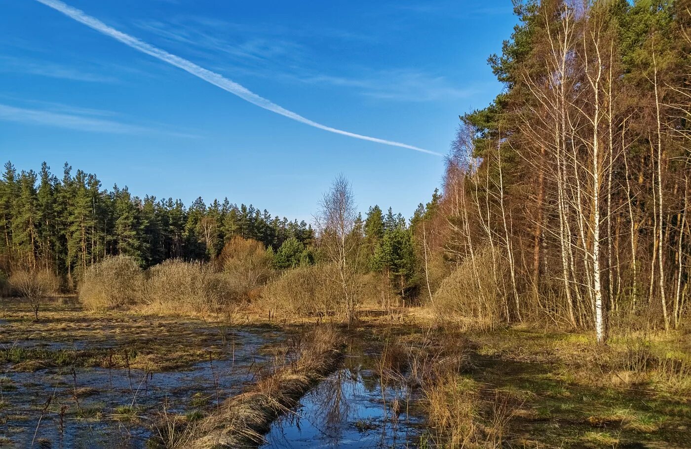 Вновь середина. Апрель природа. Середина апреля природа. Середина весны. Апрель середина весны.