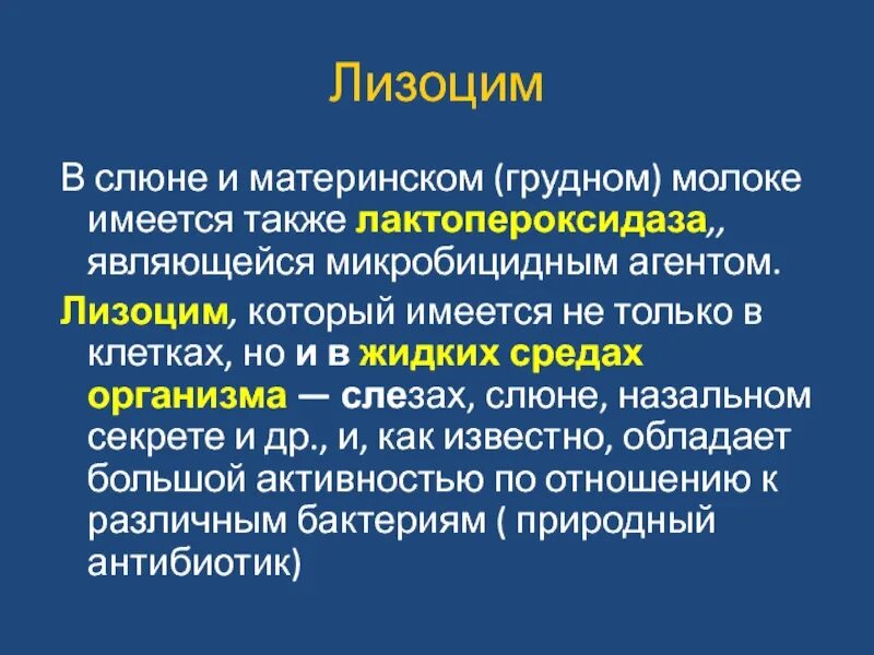 Лизоцим в слюне функция. Лизоцим функции. Лактопероксидаза слюны. Лизоцим выполняет функцию. Фермент птиалин расщепляет