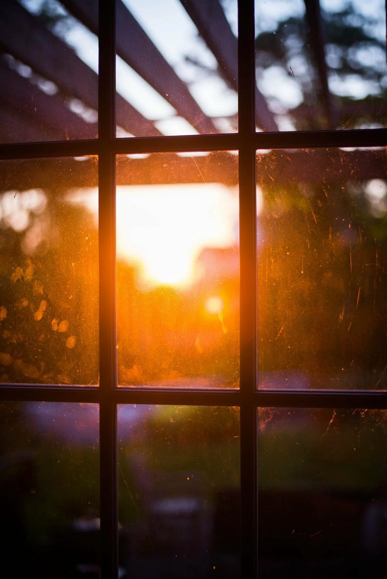 Солнце в окне. Отражение солнца в окне. Рассвет в окне. Солнечные лучи в окне. Яркое солнце светит в окна домов