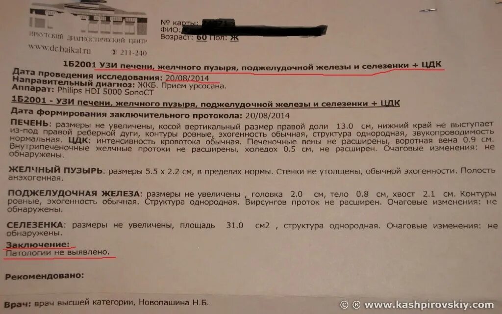 Определение сократимости желчного пузыря