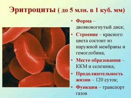 Какой уровень эритроцитов считается опасным