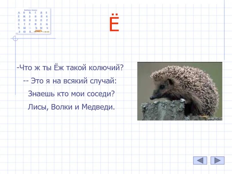 Ежик поставить ударение. Загадка про ежа. Что ты ёж такой колючий это я на всякий случай. Стихотворение еж колючий. Загадка о еже.