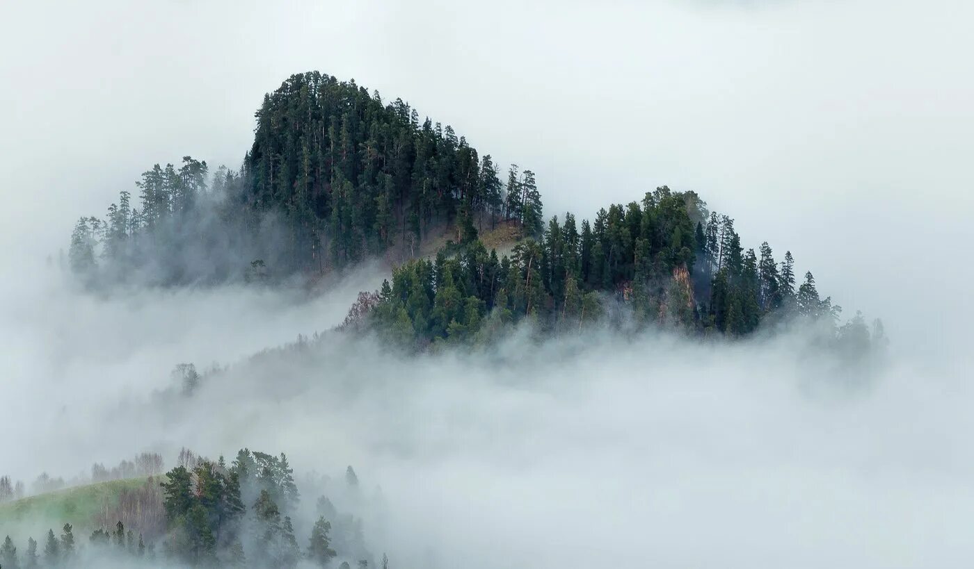 Туманный пейзаж. Самый сильный туман. Горы в тумане. Склон в тумане. В тумане есть вода
