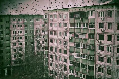 Панельные видео