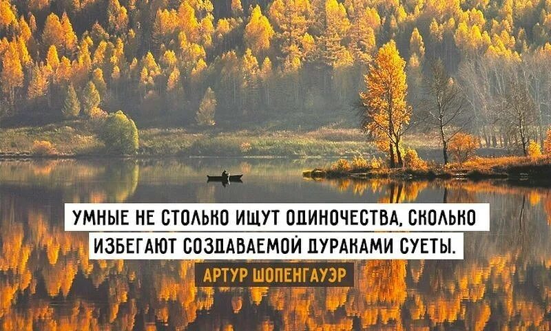 Природа цитаты. Умные фразы про природу. Величие природы цитаты. Высказывания о природе и жизни. Мудрость природы.