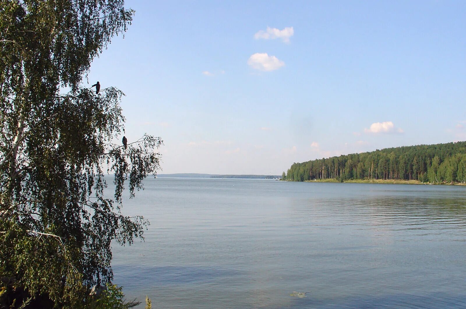 Заречный Белоярское водохранилище. Заречный озеро Свердловская область. Белоярском водохранилище Свердловской области. Озеро Белоярское Свердловская область. Озера свердловская область рыбалка