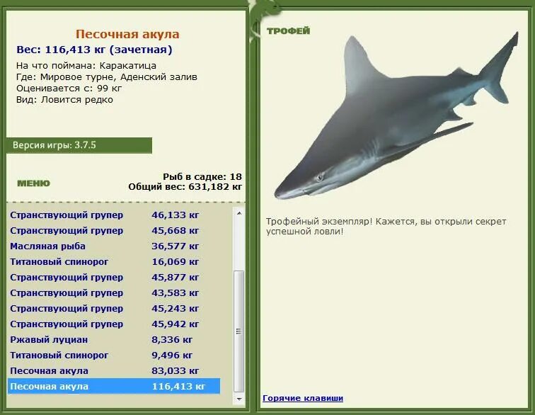 акула длина тела. размер белой акулы по сравнению с человеком. сколько весит большая акула. средний вес акулы. большая белая акула продолжительность жизни.