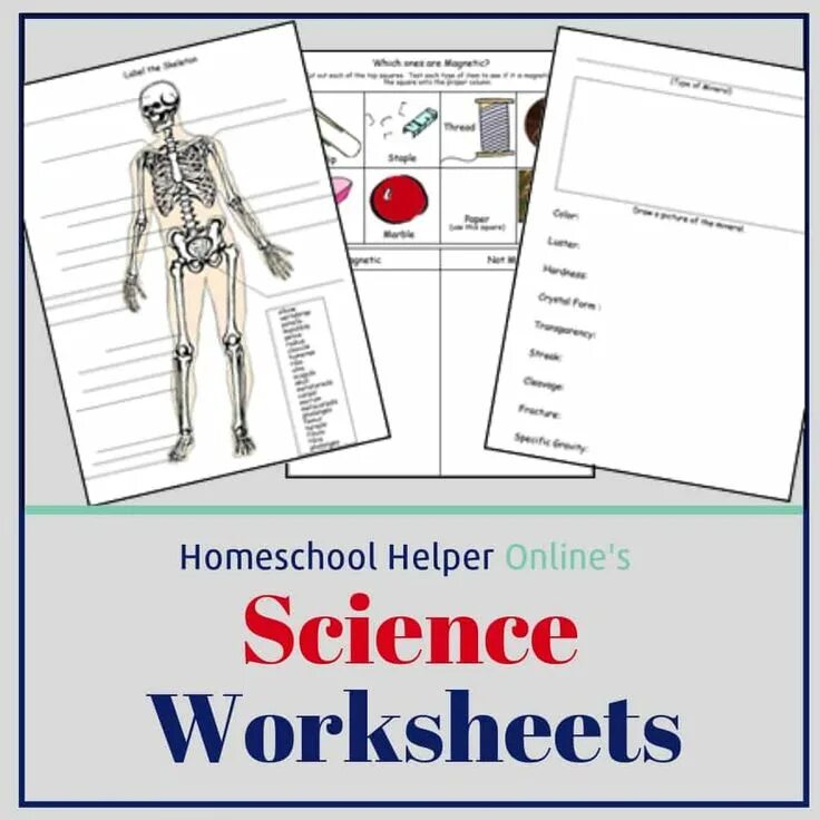 Where is the science lesson. Science worksheets. scientist worksheets. grade 4 science worksheets the basic concept of science. what is sound science worksheet.