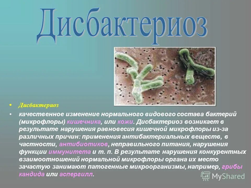 Лечение нарушения микрофлоры