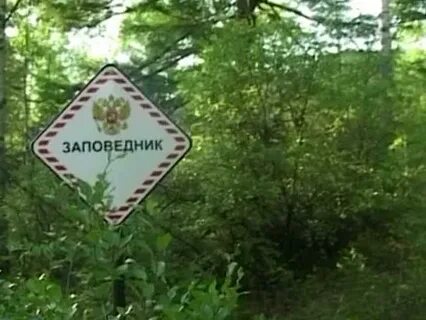Сохондинский заповедник забайкальского края
