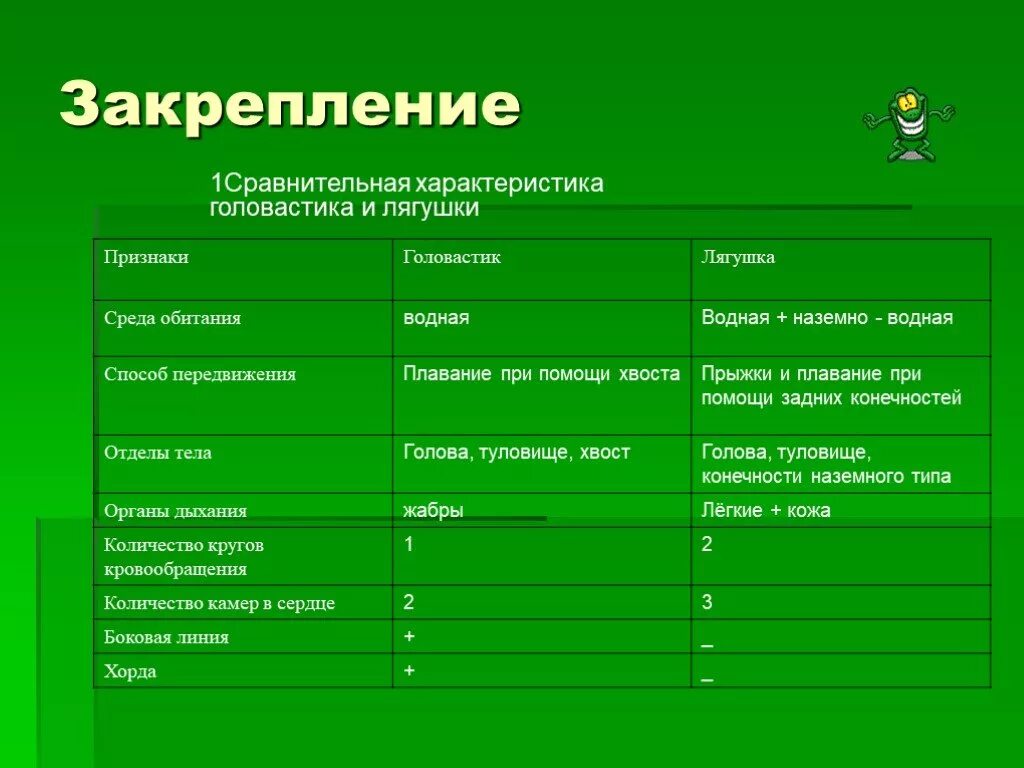 Таблица земноводных 8 класс. Таблица головастика и лягушки 7 класс биология. Признаки лягушки и головастика таблица. Отделы тела земноводных 7 класс биология таблица. Характеристика головастика лягушки.