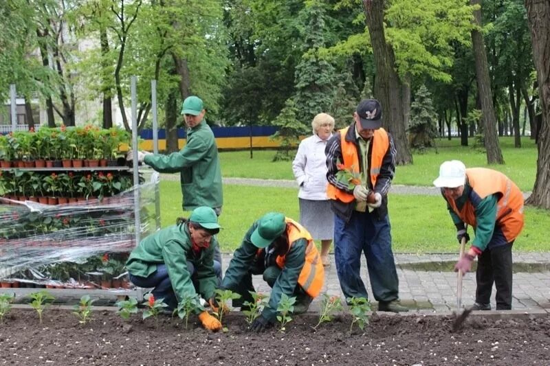 Уборка территории. Аллея в советском районе волгоград. Стройка благоустройство. Благоустройство и озеленение. Работа на территории города.