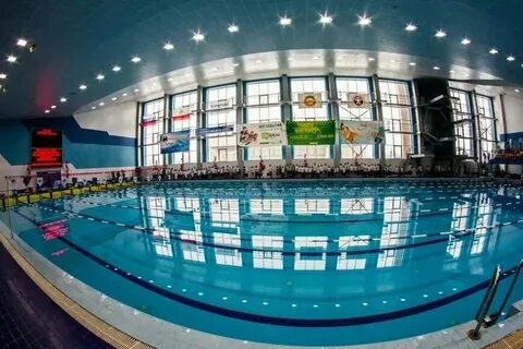 Альбатрос ул чапаева 114 фото