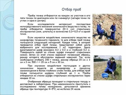 Методы отбора проб почвы для химического анализа
