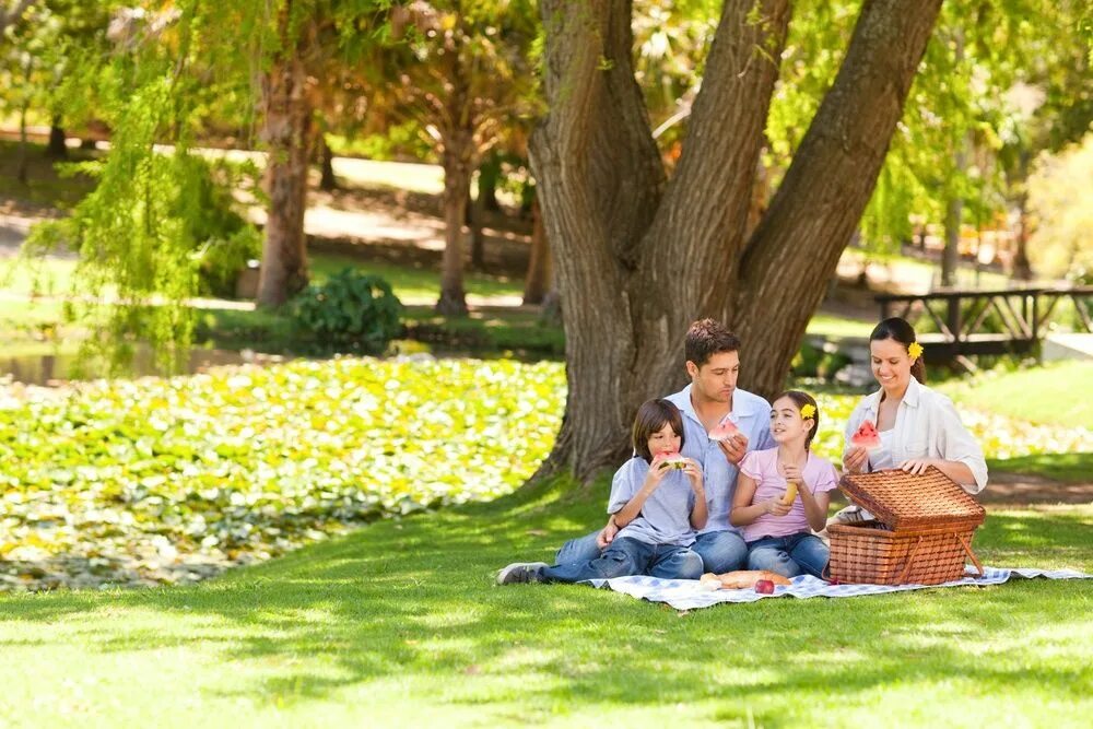 Семья отдыхает в парке. Пикник на природе. Пикники в парках. Люди на лужайке в парке.