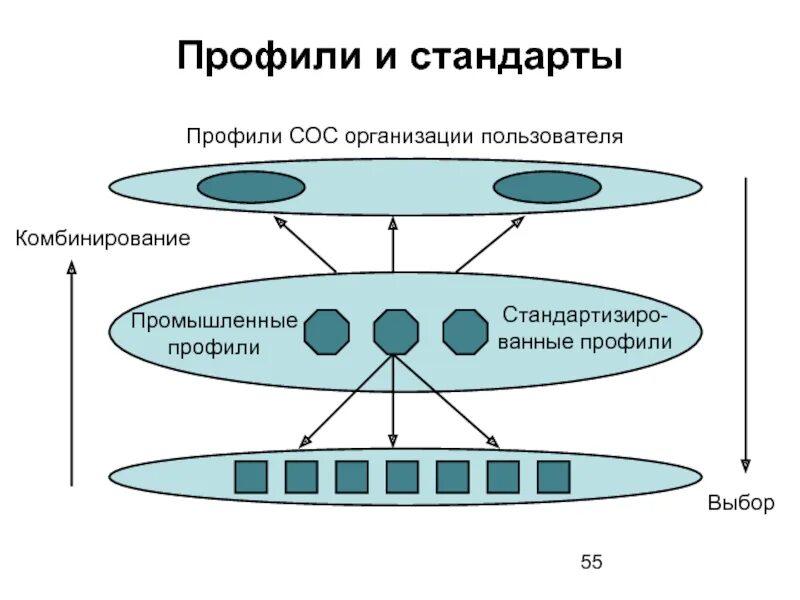 Основная организация пользователя