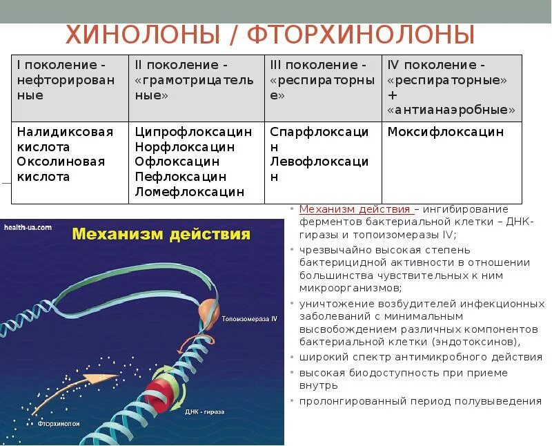 К группе фторхинолонов относится. Механизм действия хинолонов. Фторхинолоны механизм действия. Хинолоны и фторхинолоны спектр действия. Хинолоны и фторхинолоны механизм действия.