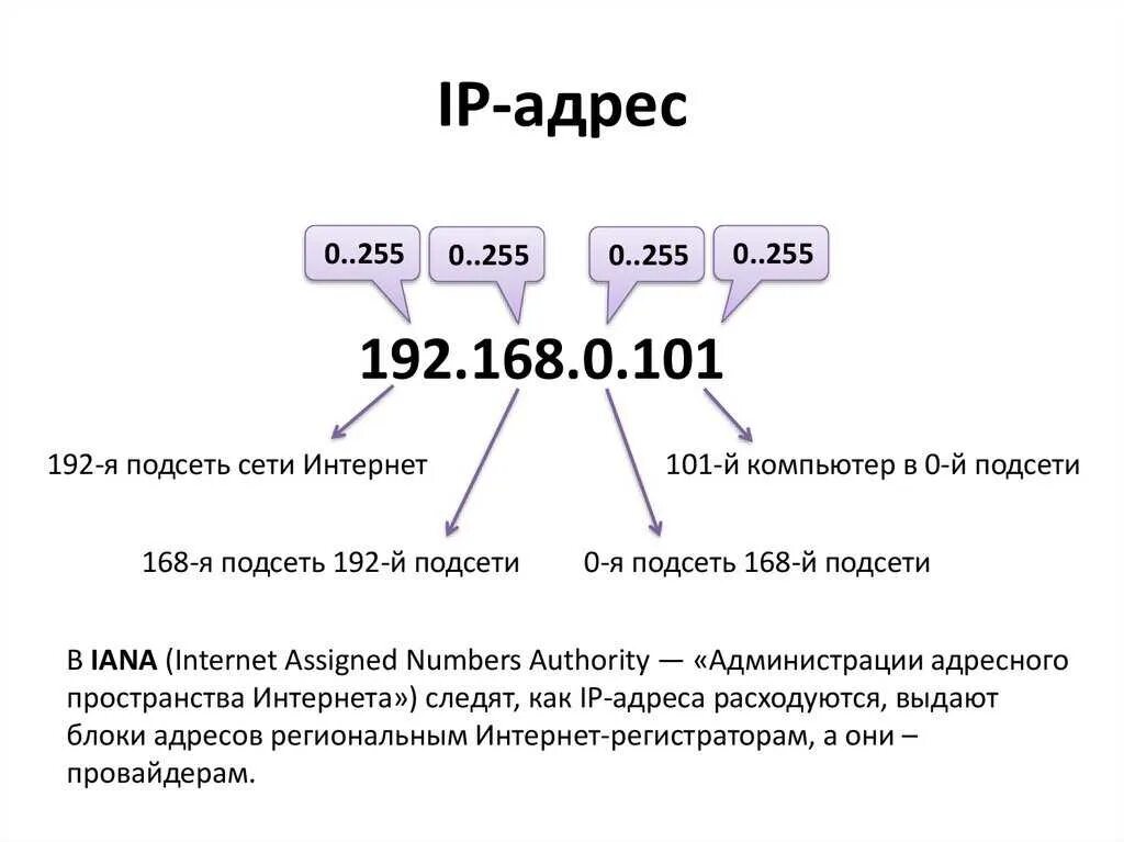 Проанализируйте следующие доменные имена school. Как определить IP адресация. IP address как выглядит. Как выглядит айпи адрес. Как расшифровать IP адрес.