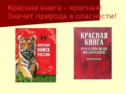 Краткая информация о красной книге