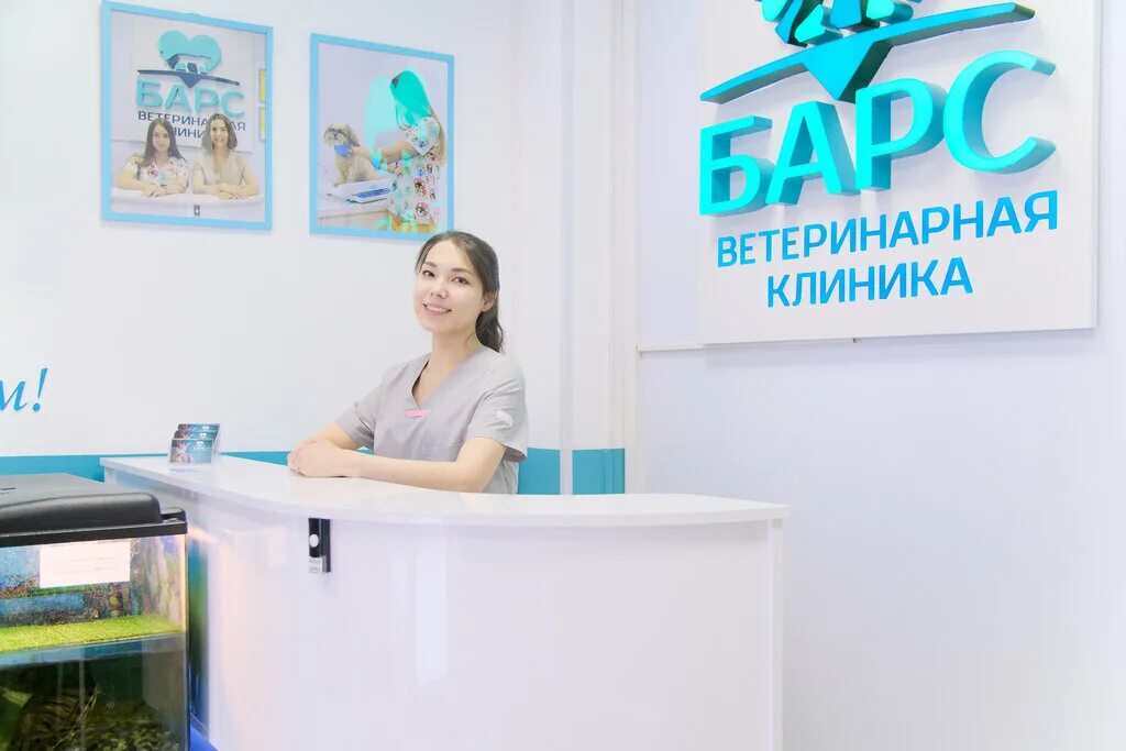 клиника барс астрахань. снежный барс ветеринарная клиника рязань. барс ветлечебница. полный спектр ветеринарных услуг в одном месте. ветеринарная клиника на варшавской улице спб.