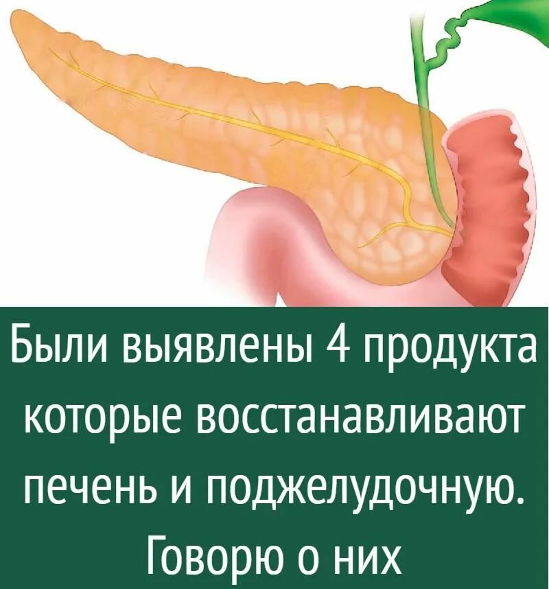 Продукты для печени восстановления и поджелудочной железы. Продукты восстанавливающие печень и поджелудочную. Полезная еда для печени и поджелудочной железы. Продукты полезные для печени.