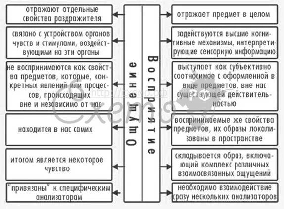 Общие признаки ощущения и восприятия. Различия ощущения и восприятия таблица. Различия ощущения и восприятия в психологии. Отличие ощущения от восприятия таблица. Сравнительный анализ ощущения и восприятия психология.