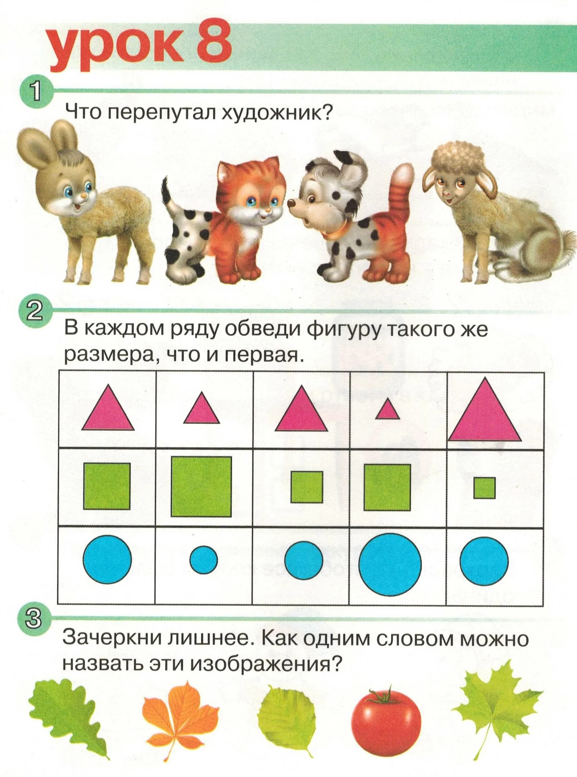 Развивающие занятия для детей 5-6 лет дома. Занятия для дошкольников 5 лет. Занятия для детей 5 лет развитие. Занятия для дошкольников 5-6.