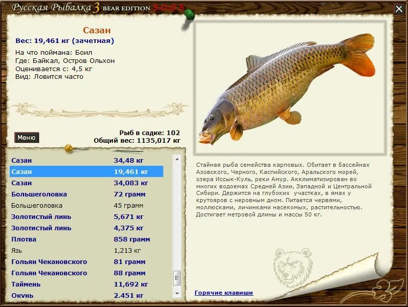 Русская рыбалка 3 рыбы. Где ловить зачетную рыбу. Вид рыбы сорога и чебак. Рыбы русской рыбалки 3. Таблица ловли в русской рыбалке.