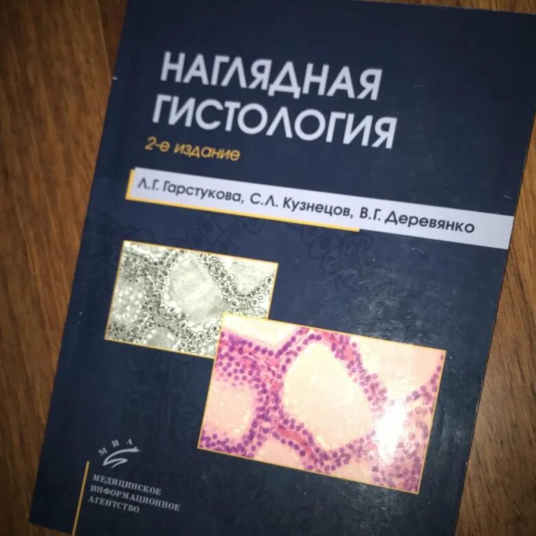 Наглядная гистология гарстукова. Гарстукова гистология. наглядная гистология. кузнецов с.л. &quot;гистология&quot;. наглядная гистология доронинко.