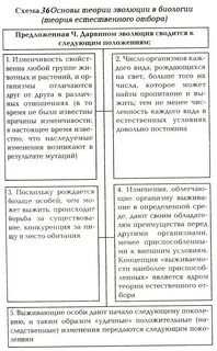 Теория эволюции история развития
