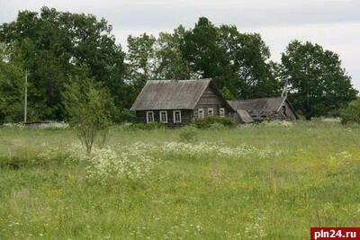 Погода белорусский пыталовский
