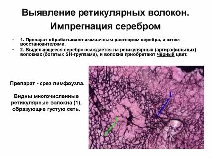 Импрегнация