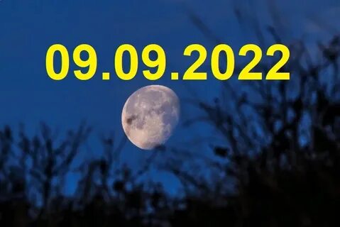 9 октября 2022 г